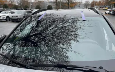 Winter Auto Glass Care: Preventing Cracks in Cold Knoxville Weather